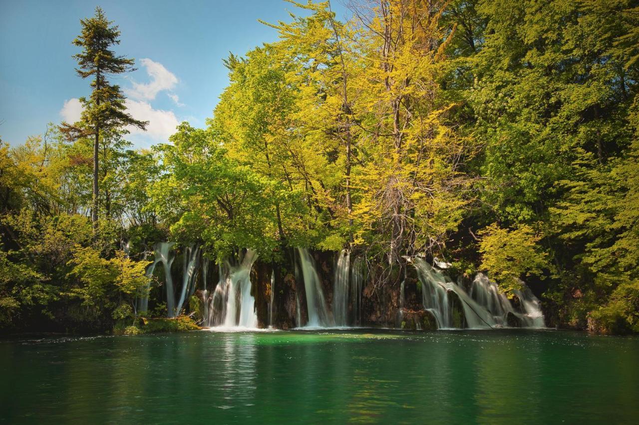 Hotel Degenija Seliste Dreznicko Bagian luar foto