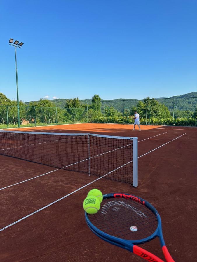 Hotel Degenija Seliste Dreznicko Bagian luar foto